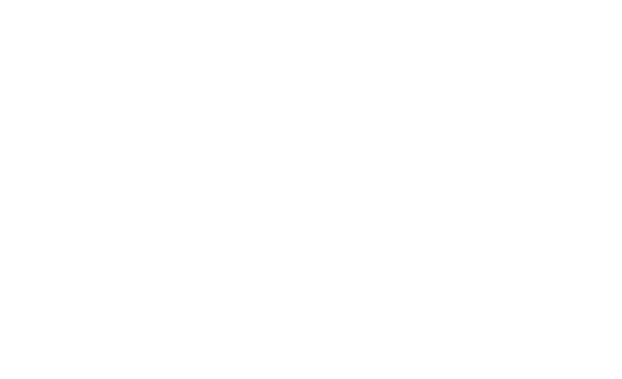 EU market report (2)